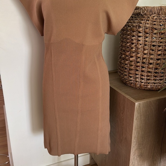 NWT Anthropologie Mock Neck Tan Mini Dress XL - Picture 4 of 16